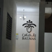 BALMAS-DRESSES-Boutique.png