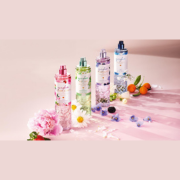 Bath-Body-Works.png