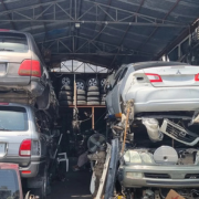 DOGAR-Automotive.png