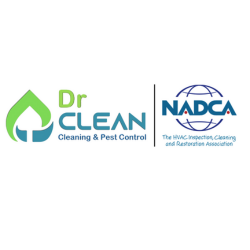 Dr-Clean-STUNNING-SERVICES-EST.png