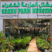 Green-Farm-Nursery-1-1.png