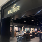 Hollister-Co.png
