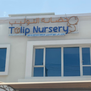 Tulip-Nursery-1-1.png